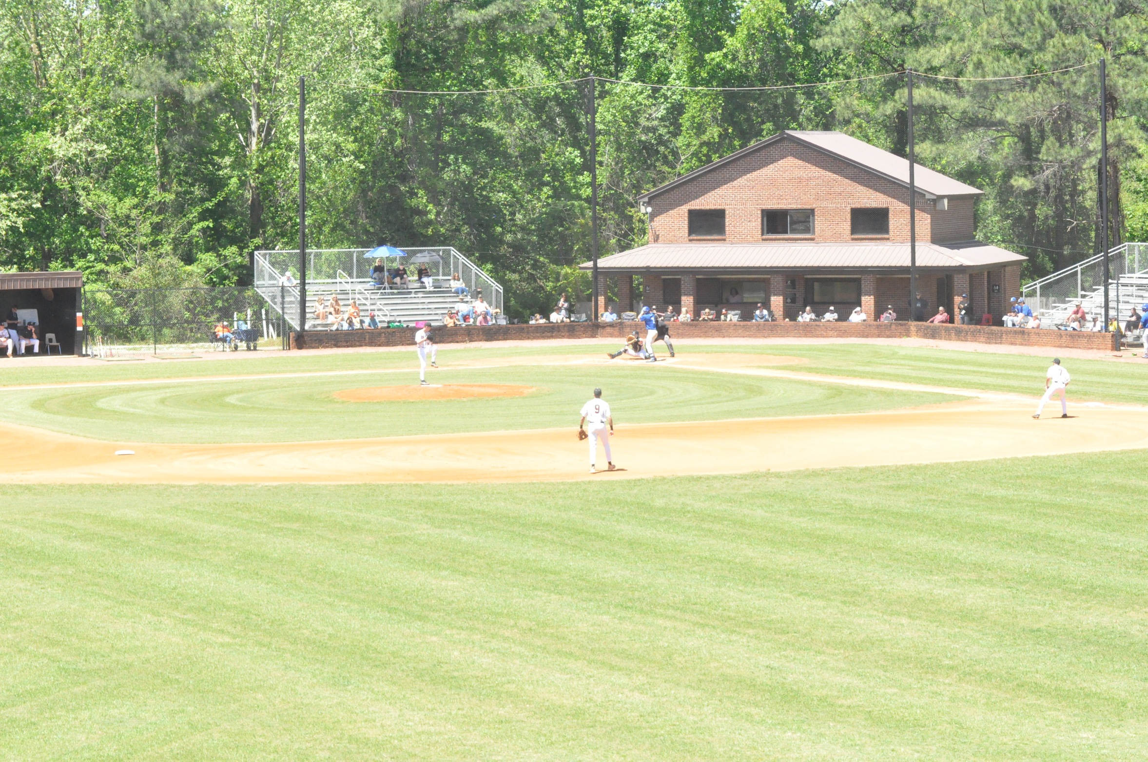 Tigers Drop Three of Four Against Snead State CC