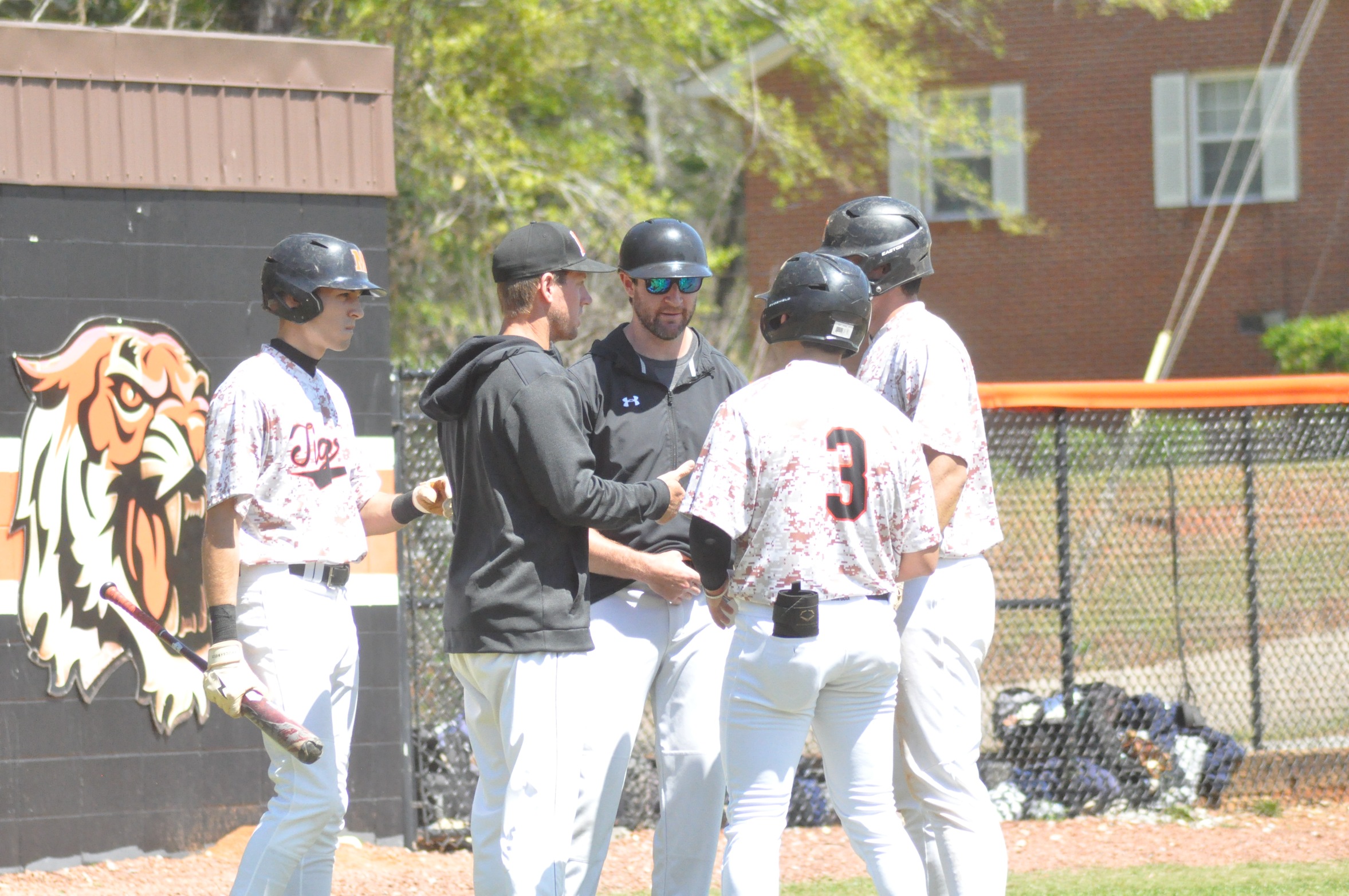 Tigers Split Doubleheader with Cougars of LSCC